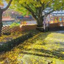 용산1리 이미지