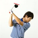 평촌 탑 골프연습장 이미지