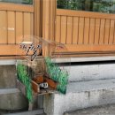 지리산둘레길 2코스 네이버블로그