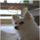 지혜토굴새우젓 이미지