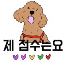 알파덴탈 이미지