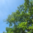 점진농장 이미지