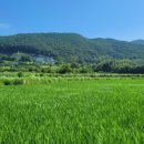 정관농장 이미지