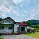 숲속개울가 이미지