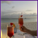 (주)광주대한여행사 | [일상] 광주 허니문, 광주 여행사 추천 '팜투어 광주지사' 소개