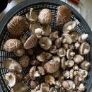 갈현농장 이미지