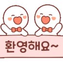 시스터즈캐릭터김밥앤쿠키