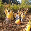 송죽어린이집 - 개구리샘 이미지