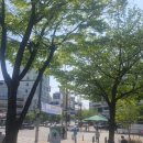 25년 4월 영화 토론 모임 공감 후기 (환상의 빛, 어느가족, 청년예술청)