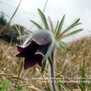 동광리-12 이미지