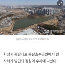 화성 동탄호수공원서 남성 변사체 발견…경찰 수사중 이미지