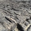 (재)경상북도문화재연구원 박물관 이미지