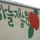 하늘재농원 이미지