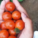 묘산초등학교 이미지