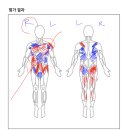 컨설팅7 | [용산 헬스장] 하체 운동 루틴, 프론트 스쿼트 부터 시작한 바디컨설팅 7회 차 수업 후기