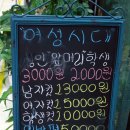 여성시대헤어아트