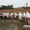 김동규농장 이미지