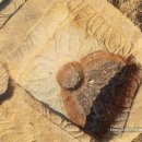 부산박물관 야외 이미지