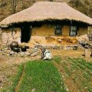 술람미 - 남구 | 술람미