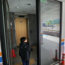 펫글타운 이미지