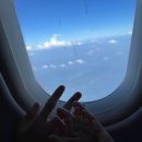 여름. 제주 | ✈️ 13개월 아기와 함께한 제주 여름 휴가 후기