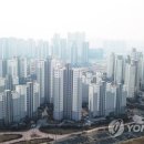 226 서울이코노미뉴스