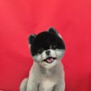 개린이미용실 이미지