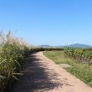 ㈜디에스케미칼 이미지