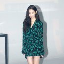 선미 이미지