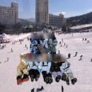 2월 막바지 스키여행(with 휘닉스평창, 셔틀버스예약, 오렌지동 리조트, 삼겹도령 내돈내산)