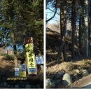 팔조령 정상 이미지