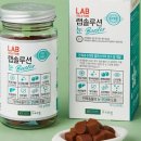 랩 솔루션 이미지