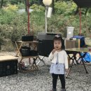 용인단풍숲캠핑장 이미지