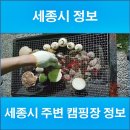 로하스 ENG | 세종시 주변 캠핑장 정보
