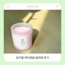 팅커벨 | 고체탈취제 추천 아기 있는 집 탈취제 팅커벨 에어캔들 후기