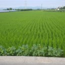 곡천농장 Daum카페