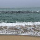 드라이브 이미지