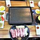 중앙돼지