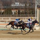 (주)디알엠 스포츠서울