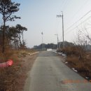 황무로 3 이미지