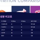 신호묘 | 😺 2025 저알러지 고양이 사료 리스트｜민감묘를 위한 사료 총정리