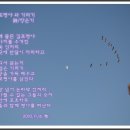 평야 이미지
