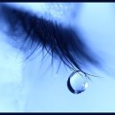 포근히 - 정읍시 중앙로 107 | 포근히