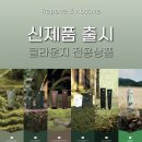 클라운지 - 거제시 중곡2로4길 6 | 클라운지