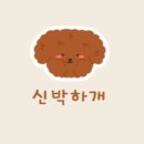 신박하개 네이버블로그
