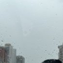 [강화캠핑] 덕산국민여가캠핑장 사이트 꿀팁 약쑥마을7번 우중캠핑 메뉴