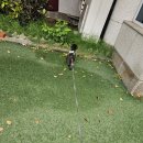 댕댕이입니다 | 댕댕이의 산책 그리고 좋아하는 애견카페 명지 댕댕이입니다 다녀온 후기