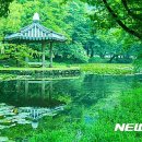 장산 이미지