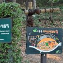 서울숲유아숲체험장 내손안에서울
