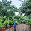 영택농장 이미지